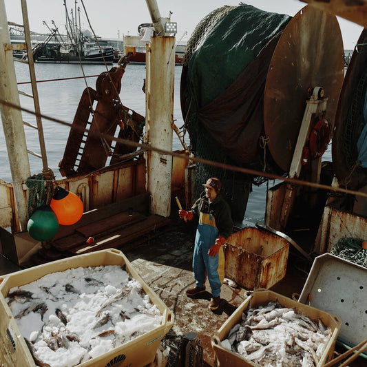 How Foreign Private Equity Hooked New England’s Fishing Industry