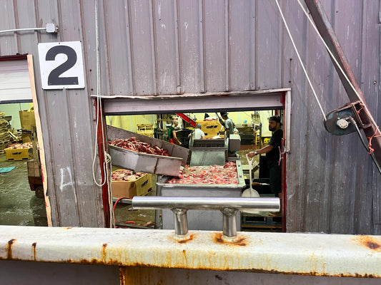Blue Harvest to shut down, ending reign over New England groundfish Seafood giant still owns fishing permits and vessels, but seafood industry sources say, after the shut down, a quick sale or bankruptcy filing is likely